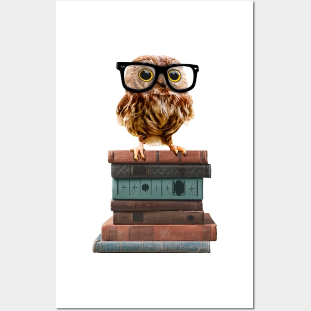 Adorable Nerdy Owl with Glasses on Books Wall Art by SirLeeTees